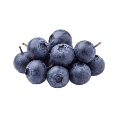 Bilberry Extract
